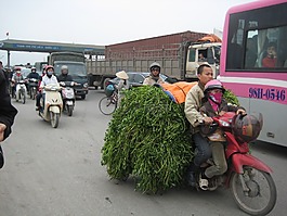 繁忙的街道,越南交通,人骑摩托车
