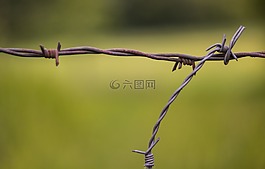 鐵絲網(wǎng),線,籬笆
