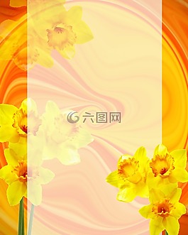 復(fù)活節(jié),水仙,矩形