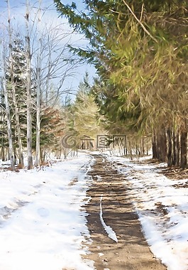 冬季道路,雪,國家