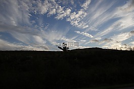 天空,去除,褐煤