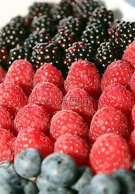 baubeeren,山莓,黑莓