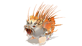魚,生物,動(dòng)物