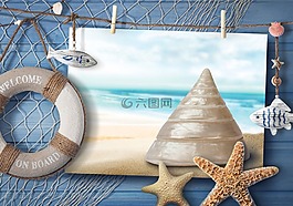 海,海螺,夏天