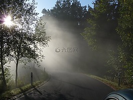 晨霧,景觀,霧