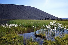 冰島,自然,火山