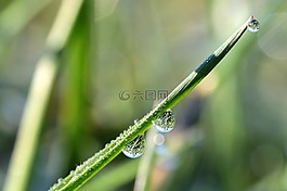 滴,雨滴,一滴水