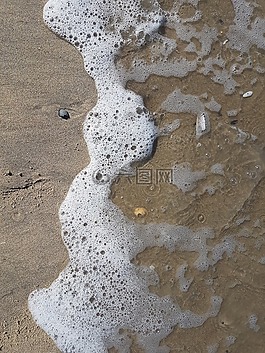 外殼,砂,海灘