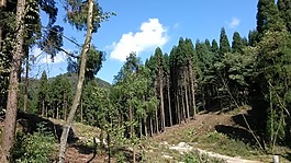 江油,藥王谷,風(fēng)光秀麗