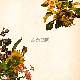 花,背景,釀酒