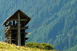 stangger,性质,草
