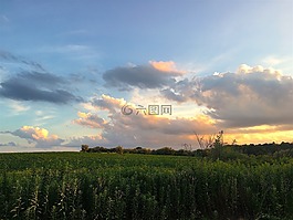 原野,農(nóng)場,日落