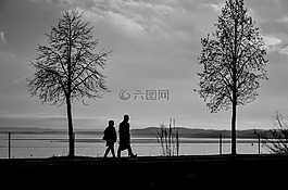 剪影,樹,男子