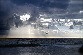 海洋,地平線,云