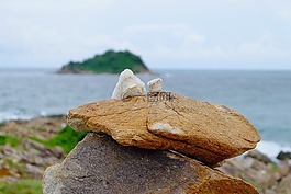 沙美島,石頭強勁。,在下降。