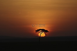 日落,景观,日出