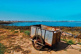 手推車,購物車,拖車