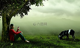 性质,妇女,牧羊犬