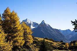山,秋季,高山