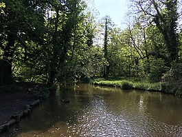 河,太陽(yáng),自然