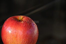 蘋果,水果,秋季