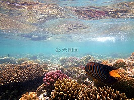 沙洲,anio?oryba,美妙的