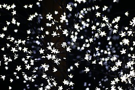 lichterkette,光,黑