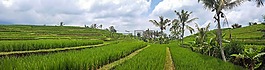 巴厘島,印度尼西亞,旅行