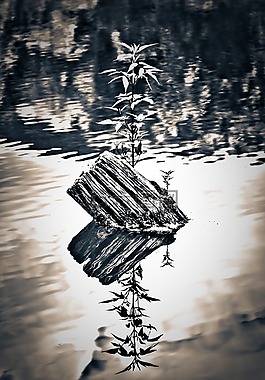 湖,反射,對(duì)比