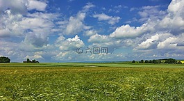 景觀,春天,云