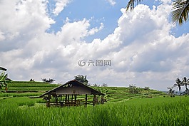巴厘島,印度尼西亞,旅行