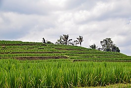 巴厘島,印度尼西亞,旅行