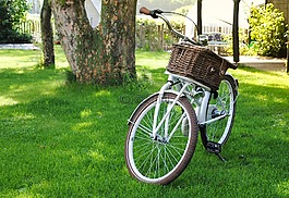 自行車,籃,運輸
