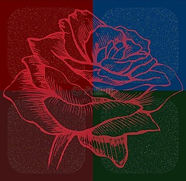 玫瑰,花,愛情