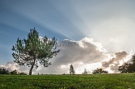 太陽(yáng),地平線,日落