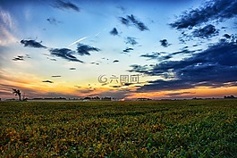 字段,種植,景觀