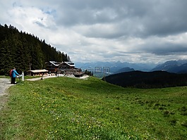 高山草甸,高山指出,流浪者