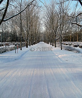道路,胡同,木