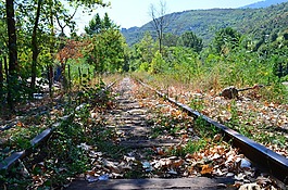 鐵路,阿爾巴尼亞,林