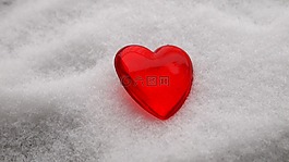 雪,白,冬天