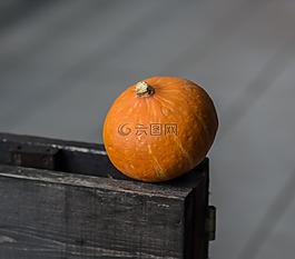南瓜,食品,水果