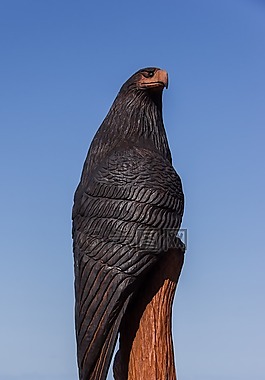 鳥,猛禽,雕刻