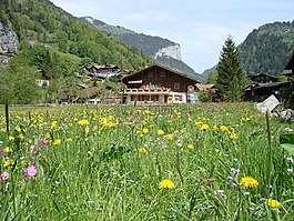 瑞士,山,房子