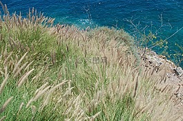海,海灘,大加那利島