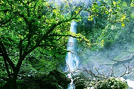 綠色,大瀑布,雨林