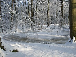 雪,vechtdal,達爾夫森