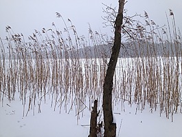 湖,冬天,冰