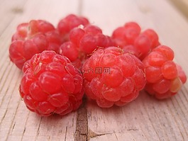 覆盆子,芬蘭,漿果