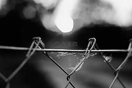 黑白色,圍欄,性質