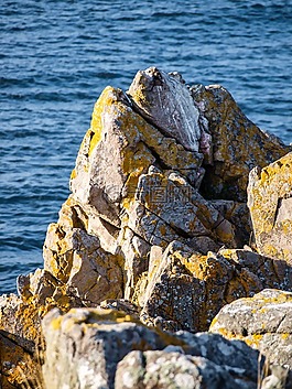 海岸,巖,海